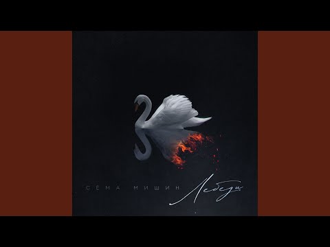 Видео: Лебеди