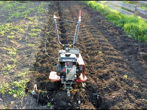 Видео: Вспашка: мотоблок Ока фреза - целина.