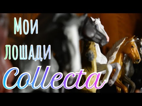 Видео: ~ Все мои лошади Collecta!!!))) ~