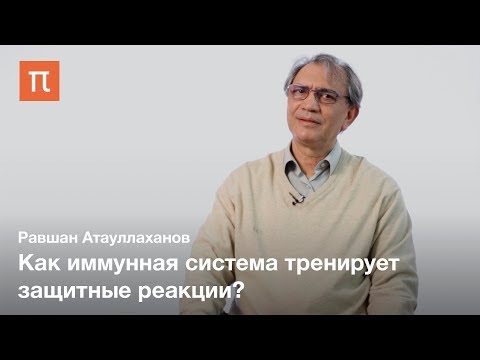 Видео: Теория происхождения аллергии — Равшан Атауллаханов