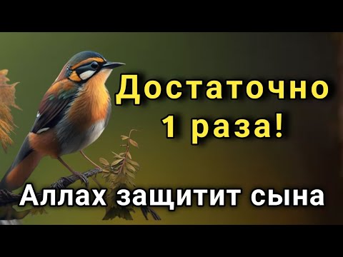 Видео: ЭТО САМАЯ СИЛЬНАЯ МОЛИТВА ЗА СЫНА!СПАСЁТ ОТ БЕДЫ ЗЛЫХ ЛЮДЕЙ ПОРЧИ СГЛАЗА СИЛЬНЫЙ ОБЕРЕГ! 🤲✨