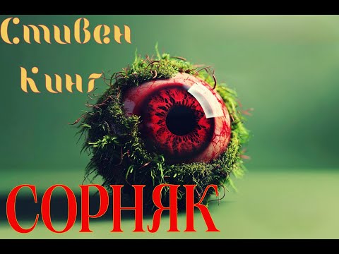 Видео: Стивен Кинг    "СОРНЯК"  Аудиорассказ.