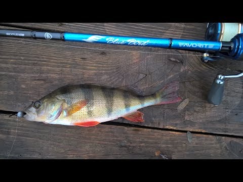 Видео: Зимний спиннинг на Обводном канале в Осещине. Ловля окуня. Часть 1.