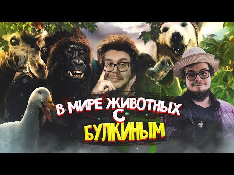 Видео: В МИРЕ ЖИВОТНЫХ С БУЛКИНЫМ В FAR CRY