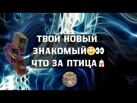Видео: НОВЫЙ ЗНАКОМЫЙ🥰| Вот что у него на уме🥺🤔❗️| Что за ПТИЦА🦅🤷‍♂️| #таро