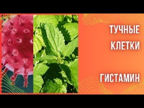 Видео: Тучные клетки. Активация ТК. Гистамин и не только.
