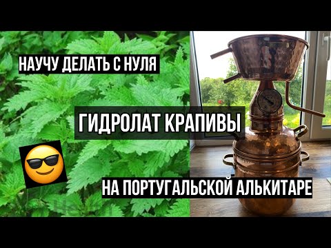 Видео: Гидролат крапивы дома. Делаем гидролат на алькитаре