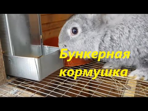 Видео: Бункерная кормушка для кроликов, просто, быстро, качественно!