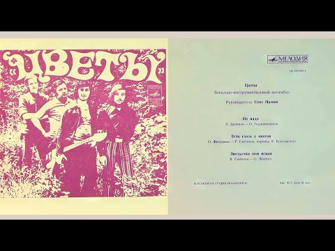 Видео: Миньон 1973 г ВИА Цветы