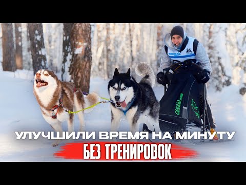 Видео: Как мы УЛУЧШИЛИ ВРЕМЯ НА МИНУТУ | гонки на собачьих упряжках с ХАСКИ
