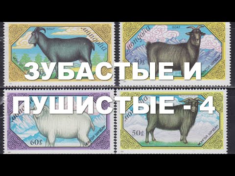 Видео: Марки. Фауна. Млекопитающие ч. 4