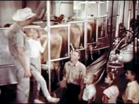 Видео: Молочная ферма дяди Джима (1963)