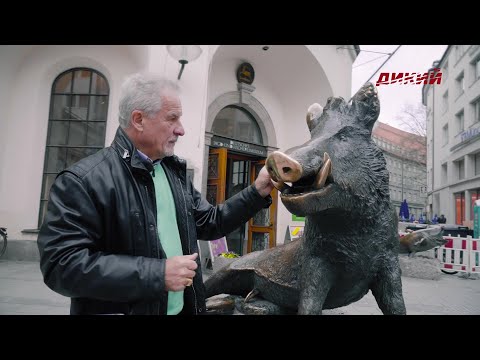 Видео: Специальный репортаж "Надежды выстрел". Бавария