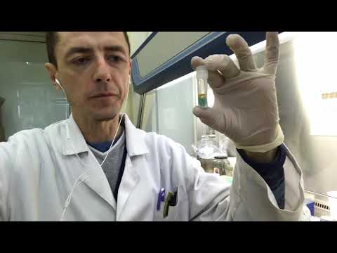 Видео: Как хранят микроорганизмы при низких температурах (криоконсервация бактерий и грибов).