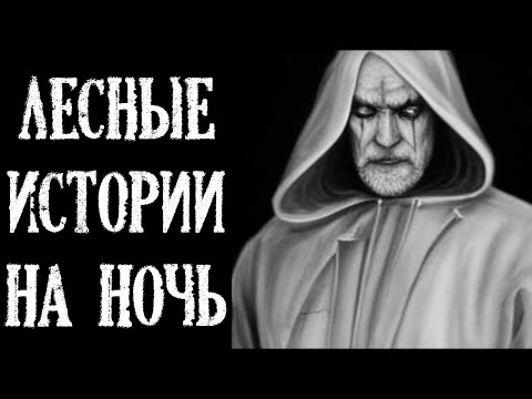 Видео: Лесные Истории на Ночь. Истории про Лес (4в1)