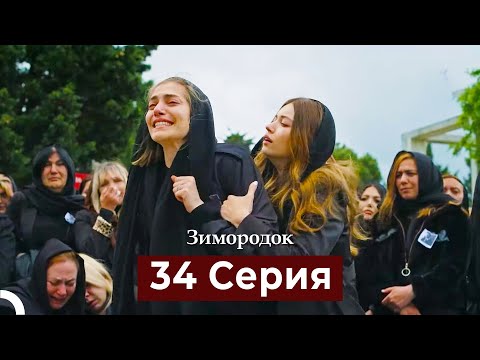 Видео: Зимородок 34 Cерия (Русский дубляж)
