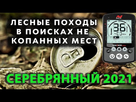Видео: Коп после разведки. Режим пляж 2 на Эквинокс.