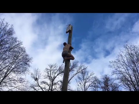 Видео: Масленица. Залез на столб 2 раза.