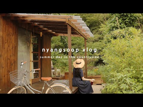 Видео: Вечером в сельской местности, разбирая насекомых! Летние истории в доме в лесу 🏡