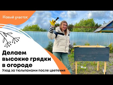 Видео: Делаем высокие грядки в огороде | Уход за тюльпанами после цветения