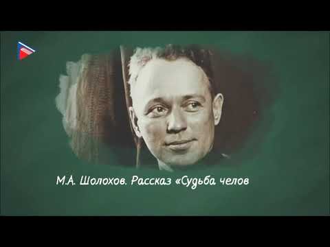 Видео: Тема "М.А.Шолохов. Судьба человека"