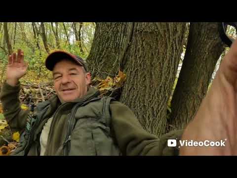 Видео: Коп. Заброшки.