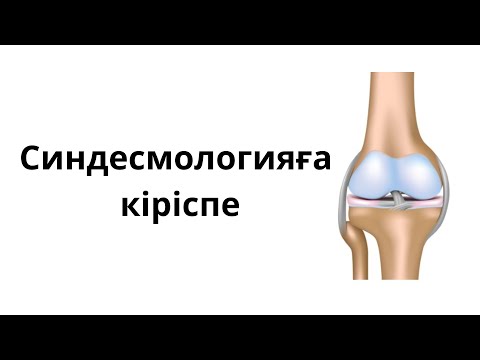 Видео: БУЫН ҚҰРЫЛЫСЫ. СИНДЕСМОЛОГИЯҒА КІРІСПЕ.