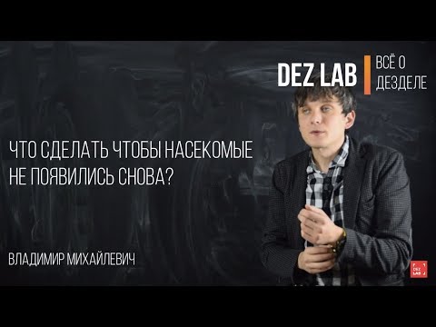 Видео: Что сделать чтобы насекомые не появились снова? Инструкция