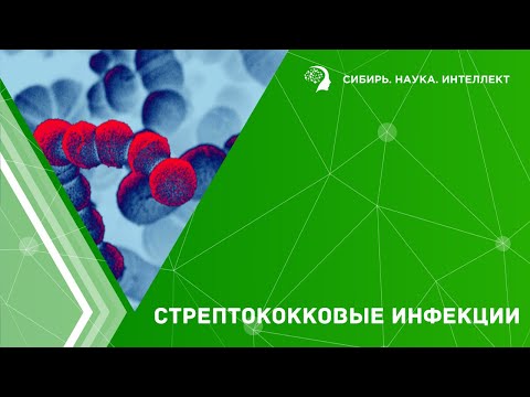 Видео: Стрептококковые инфекции