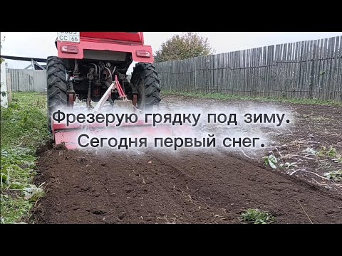 Видео: Фрезерую грядку под зиму. Сегодня первый снег.
