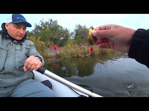 Видео: Зняли блешню з очерету, віддали рибаку і він побажав УСПІХУ! Після цього ось така рибалка вийшла.