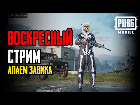 Видео: ВОСКРЕСНЫЙ СТРИМ апаем завика?  #pubgmobile