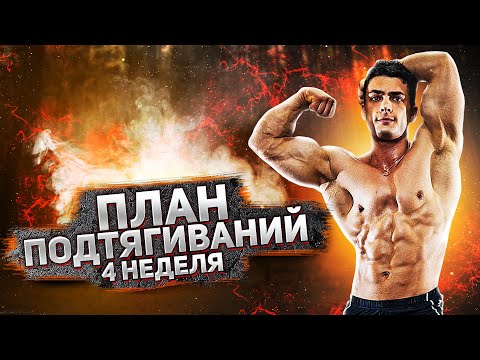 Видео: ПОДТЯГИВАТЬСЯ как чёртов КОРОЛЬ / ЛУЧШАЯ ПРОГРАММА НА ПОДТЯГИВАНИЯ