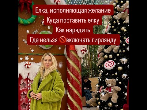 Видео: Елка активатор и елка опасность