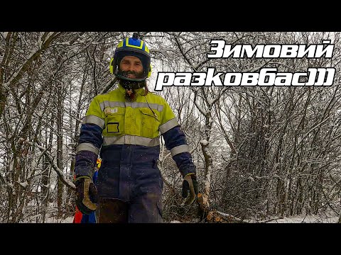Видео: Розчищення ділянки, та зрізання дерев