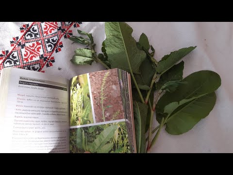 Видео: Весенние травы в нашей Греческой деревне. Что растет, что цветет, что съедобно.