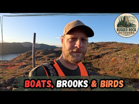 Видео: Лодки, ручьи и птицы | Горная куропатка с страйкером