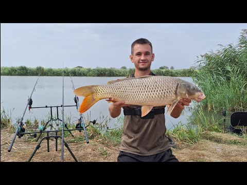 Видео: Дністер. Частина 1. Попали на роздачу САЗАНА. Дві доби на березі річки. Ловля коропа на горох