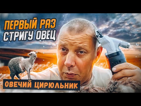 Видео: Стрижка овец, осваиваю новую профессию. Подстриг 7 штук овец. "Мое Подворье"