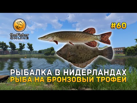 Видео: Рыбалка в Нидерландах. Рыба на Бронзовый трофей - Fisher Online #60