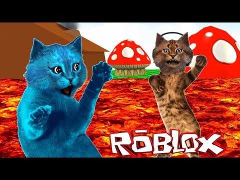 Видео: ПОЛ это ЛАВА ЧЕЛЛЕНДЖ с КОТИКОМ ИГРОМАНОМ в РОБЛОКС / The floor is lava roblox