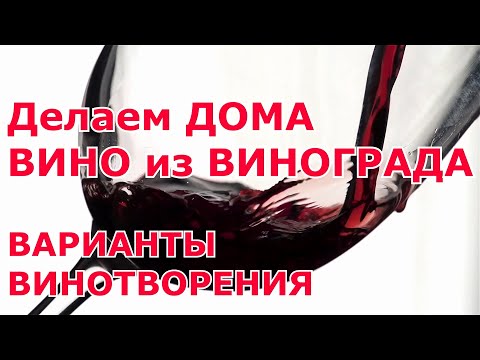Видео: ч 1. ВИНО ИЗ ВИНОГРАДА дома. ВАРИАНТЫ. ВИНОТВОРЕНИЕ