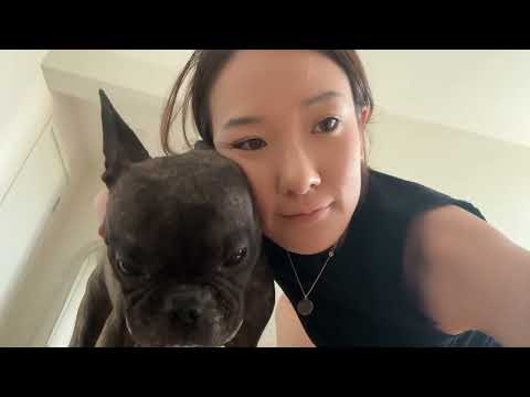 Видео: БАРАГ АЛХЛАА 🥹