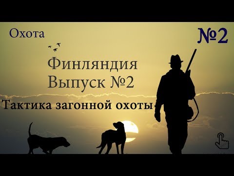 Видео: Охота на лося в Финляндии. Тактика