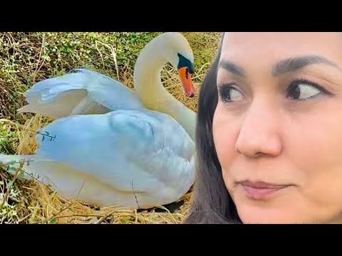 Видео: КАСБДОШЛАР БИЛАН КЕЧГИ ОВҚАТ .