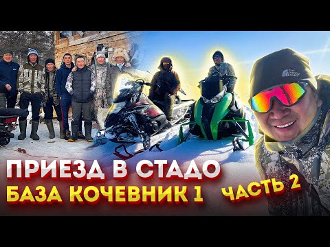 Видео: Приезд в Стадо. Погоня за волком. База Кочевник 1. Часть 2.