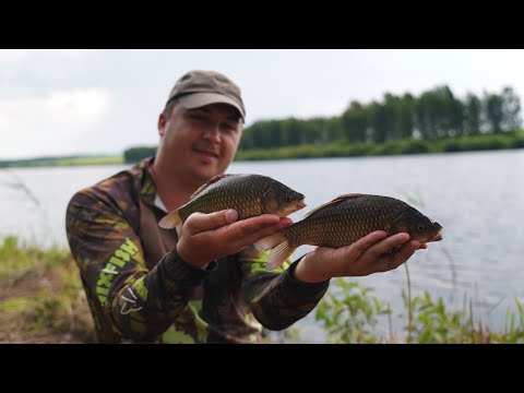 Видео: КРУПНЫЙ КАРАСЬ НА ФЛЭТ И ФИДЕР. Семейный отдых на природе.