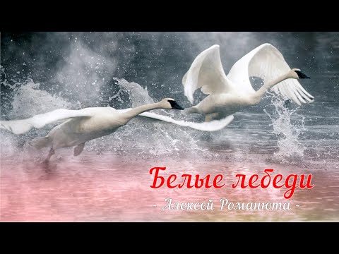 Видео: Алексей Романюта - БЕЛЫЕ ЛЕБЕДИ .