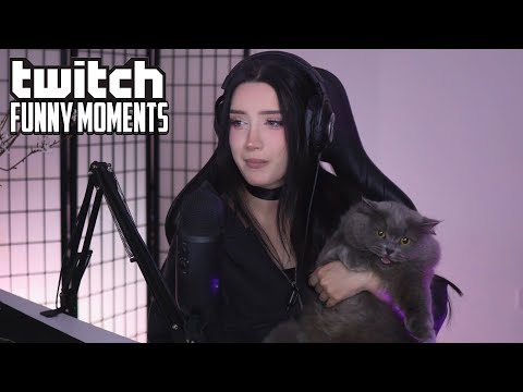 Видео: Топ Моменты с Twitch | Признание Эвелона и Морфилины