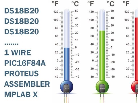 Видео: 67. Термометр с датчиками DS18B20 и PIC16F84A на одной шине (Урок 58. Теория)